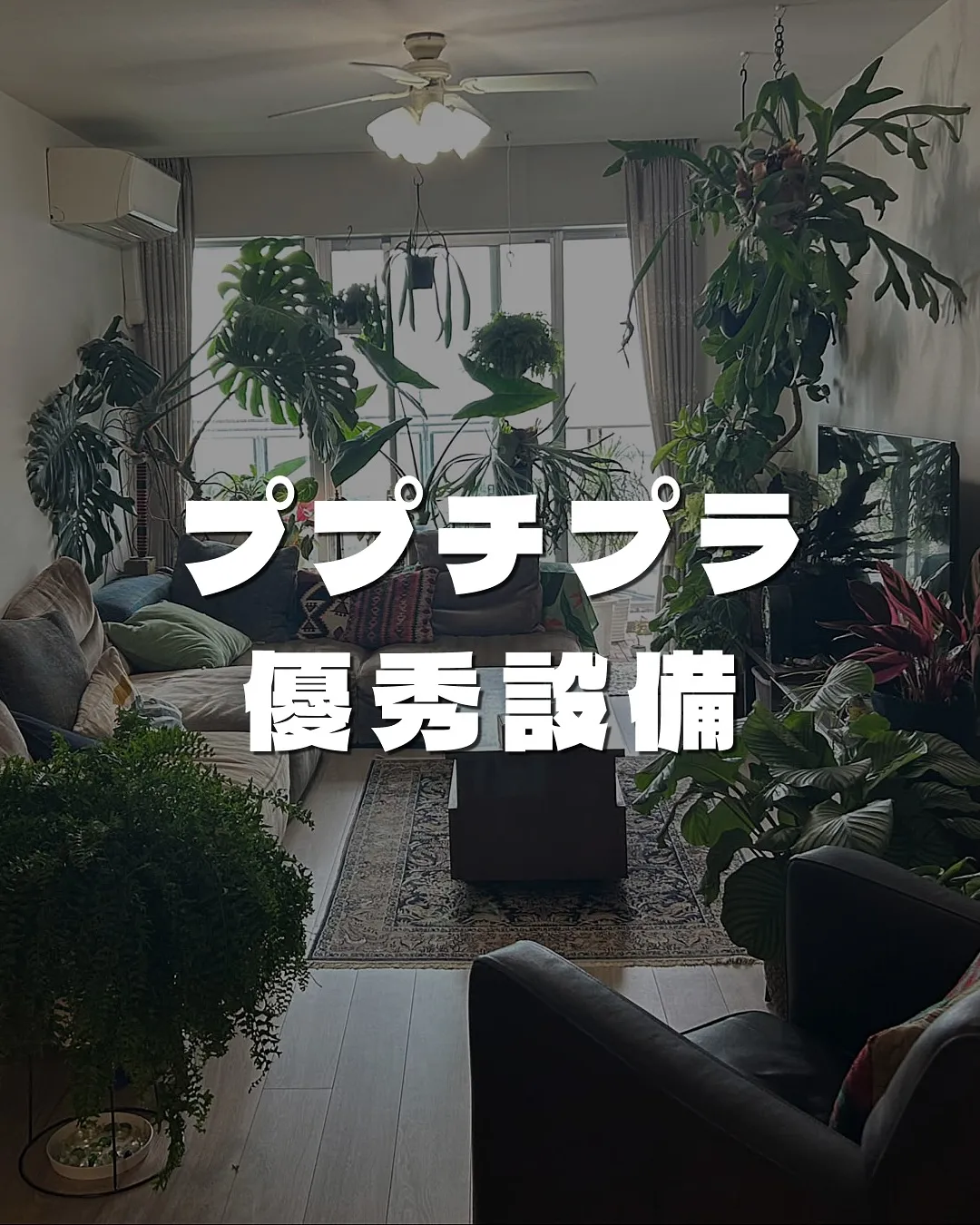 プチプラ優秀設備🙌