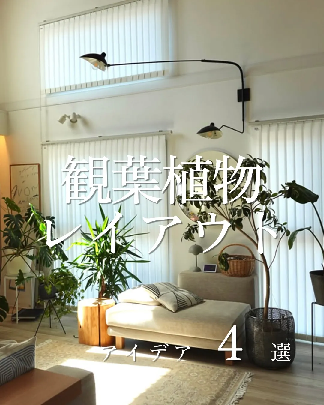 観葉植物レイアウト4選🪴