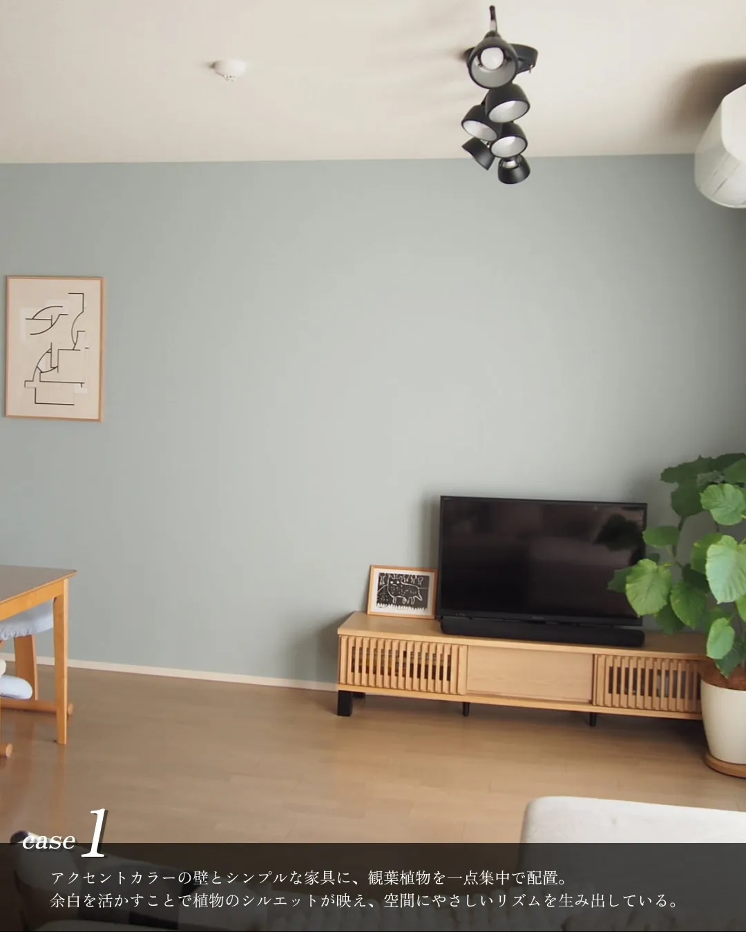 観葉植物レイアウト4選🪴