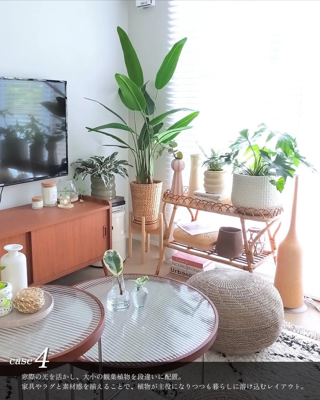 観葉植物レイアウト4選🪴