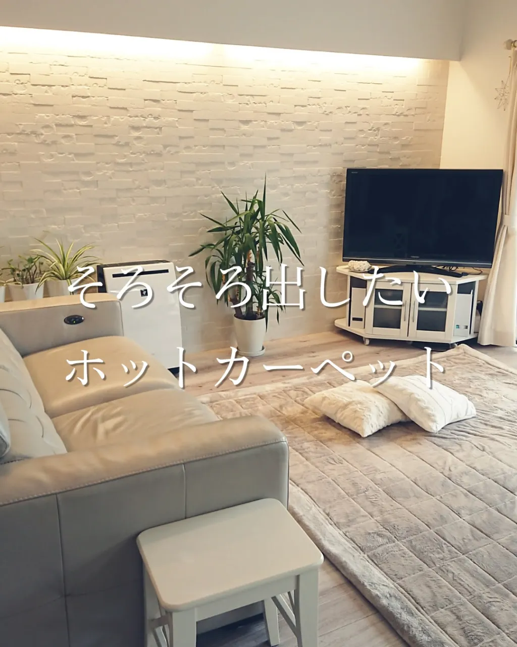 そろそろ出したいホットカーペット
