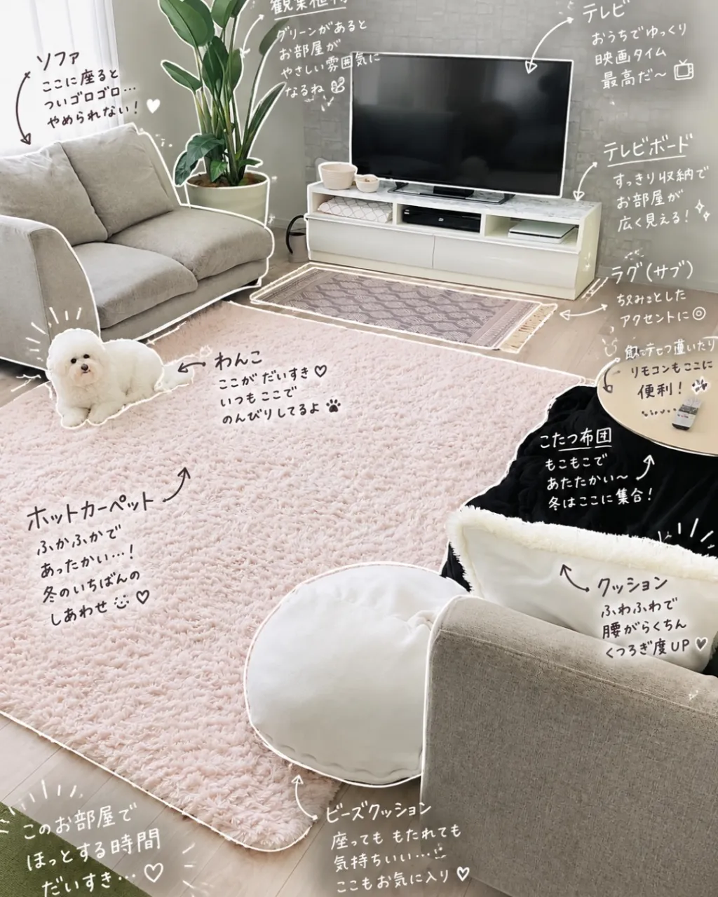 そろそろ出したいホットカーペット